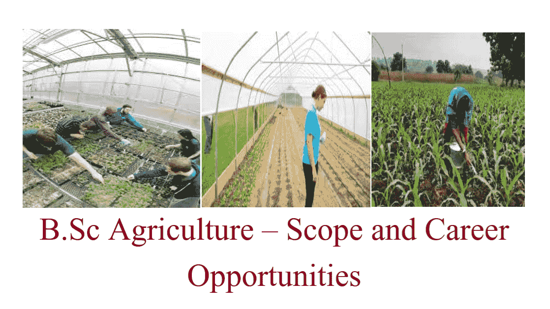 B.Sc Agriculture – Scope and Career Opportunities