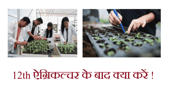 12th Agriculture ke Baad Kya Kare In Hindi
