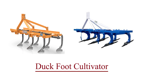 Duck Foot Cultivator
