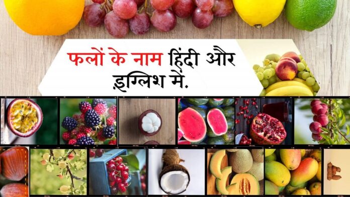 Fruits name in hindi
