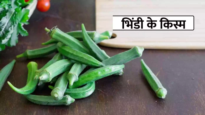 Okra Varieties in hindi