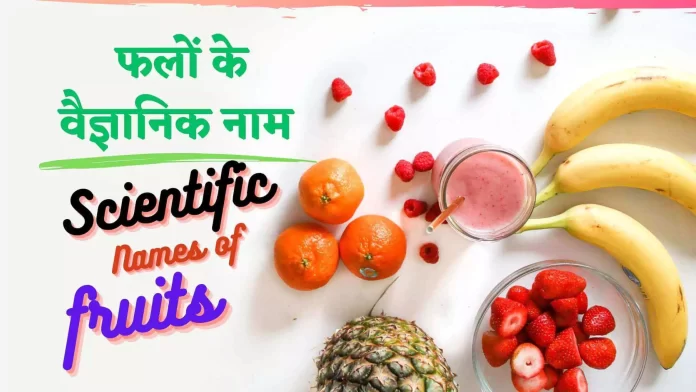 Scientific Names of fruits